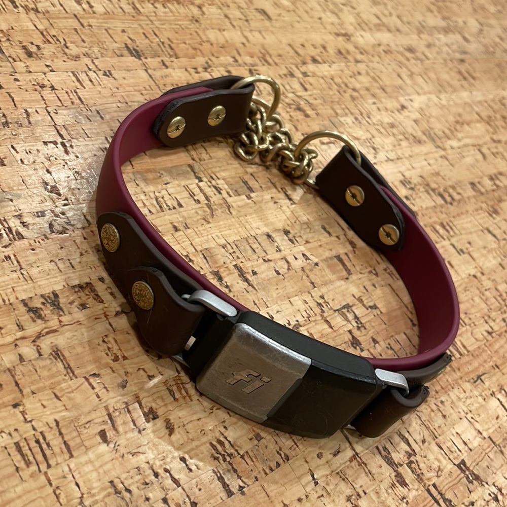 Custom designed dog collar for large dogs
